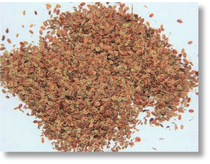 pagenumber_ebook=310,pagenumber_book=297