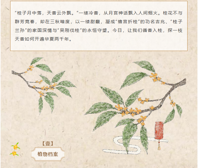 image.png?v=1762099910466