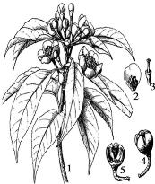 pagenumber_ebook=144,pagenumber_book=144