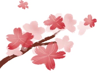 IMG_0308(20210107-094044) IMG_0308(20210107-094044).png?v=1765790960028