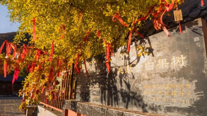 ad6c258f362929546a8c64e05722003dpng