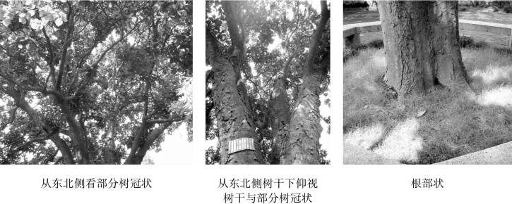 pagenumber_ebook=103,pagenumber_book=103