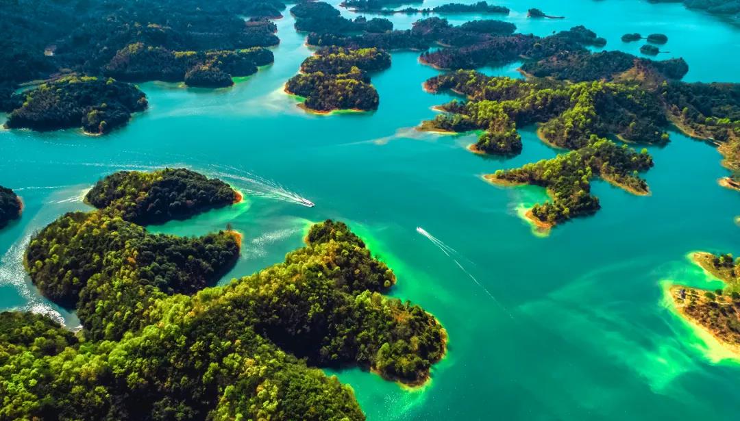 微信图片_20200917000505 微信图片_20200917000505.jpg