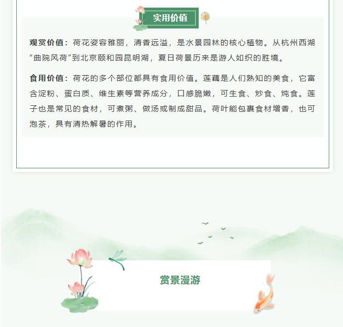 image.png?v=1766278434585