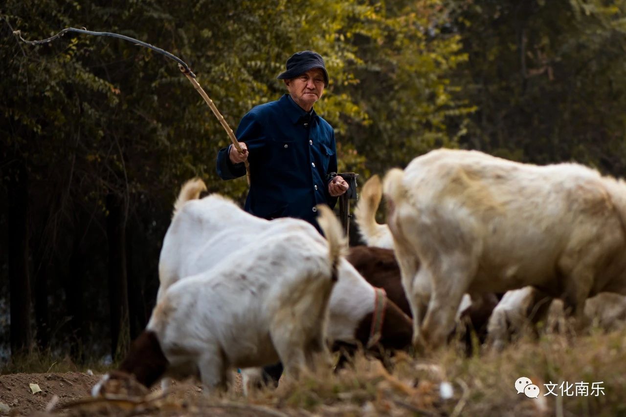 2f04026446491aa4f6e0fb48a919d76f 2f04026446491aa4f6e0fb48a919d76f.jpg