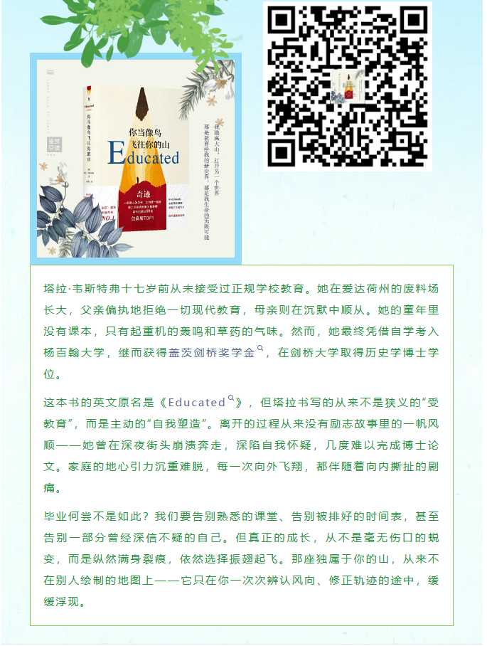 image.png?v=1785077731266