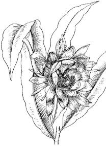 pagenumber_ebook=229,pagenumber_book=229