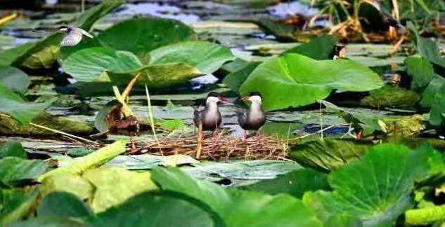 3b44f83e00d705bdc96eeab14cec095 3b44f83e00d705bdc96eeab14cec095.jpg