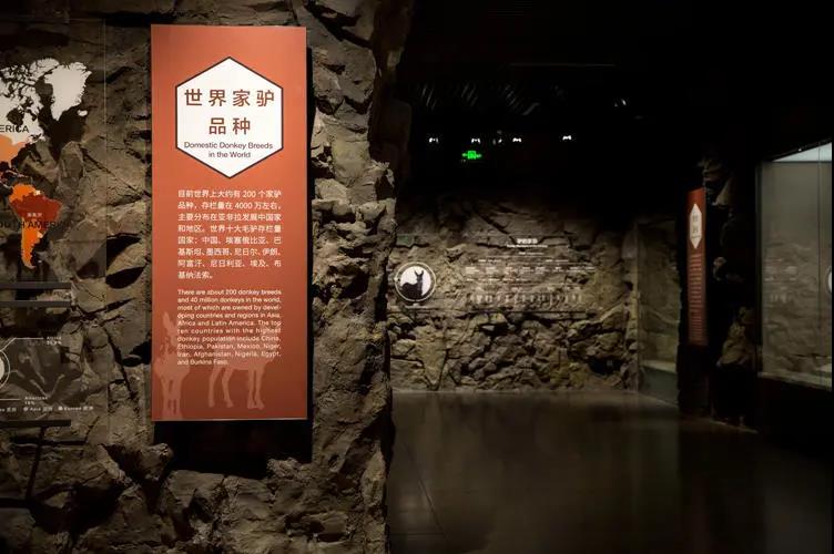 微信图片_20200313093137 微信图片_20200313093137.jpg