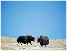 image.png?v=1765669429888