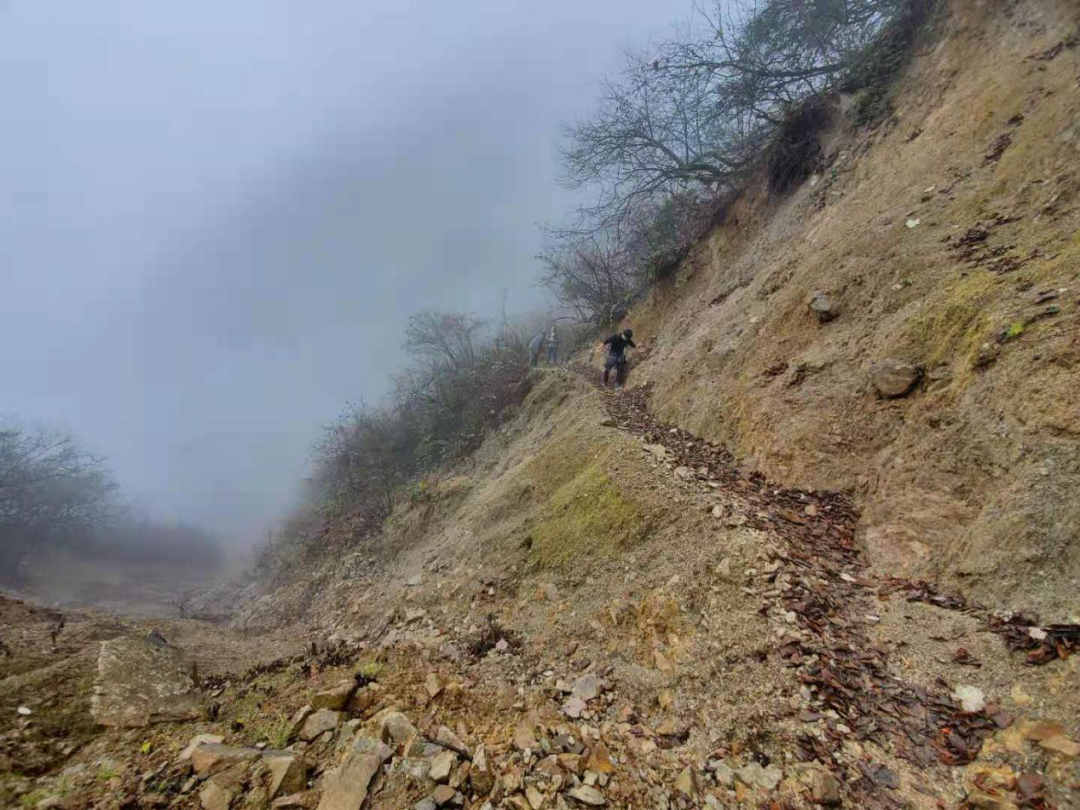 微信图片_20201204141839 微信图片_20201204141839.png