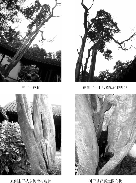 pagenumber_ebook=121,pagenumber_book=121