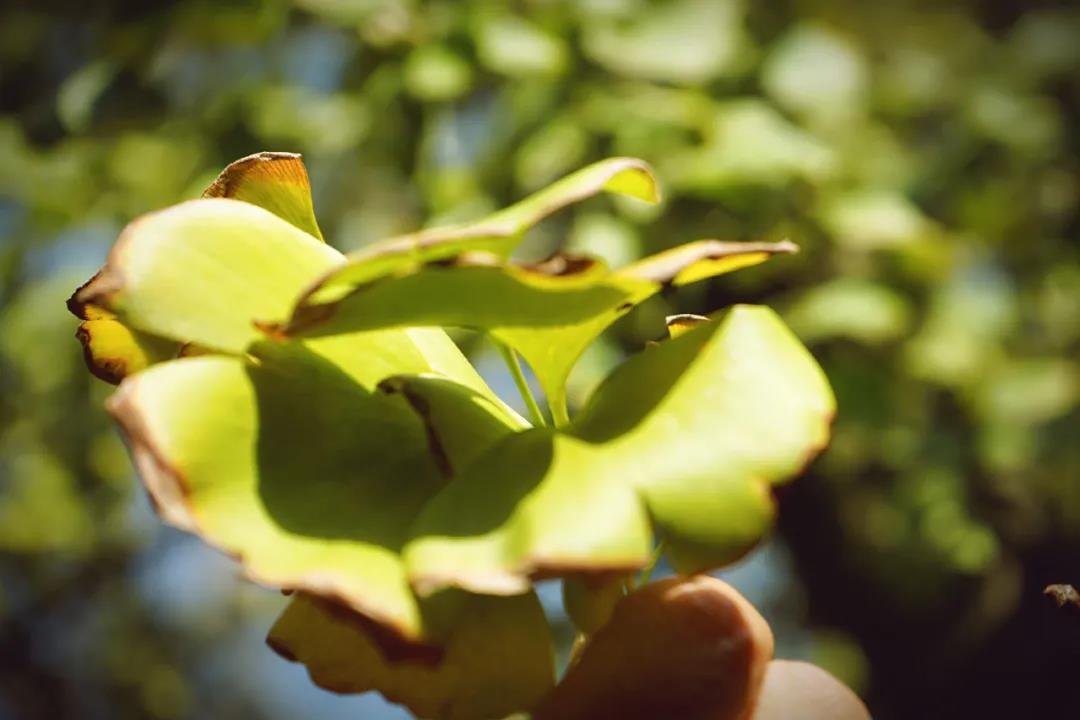 微信图片_20201124234052