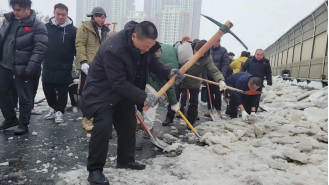 image image.png?v=1765113059948