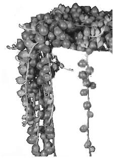 pagenumber_ebook=233,pagenumber_book=233