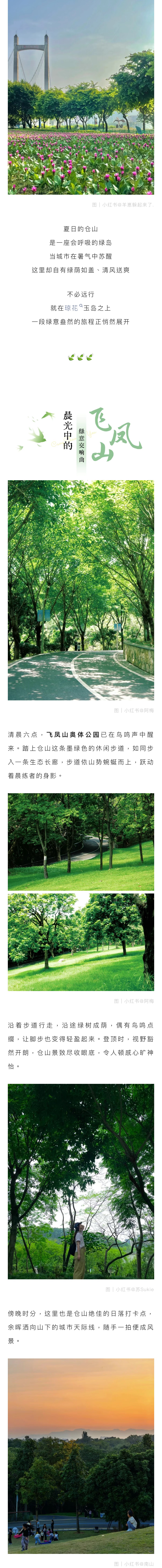 20250815【资讯】追花吸氧，在仓山体验夏日“森呼吸”~2.jpg