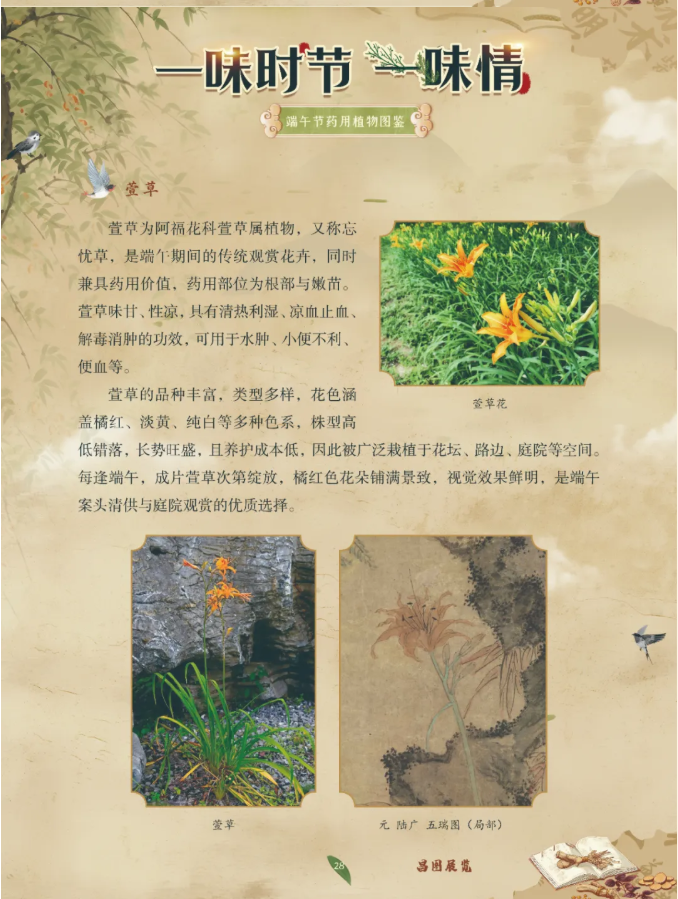 image.png?v=1782174181266