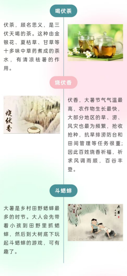 image image.png?v=1770180458956