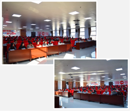 image image.png?v=1772869825442