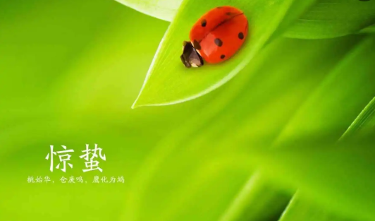 图片 图片.png?v=1761673844422