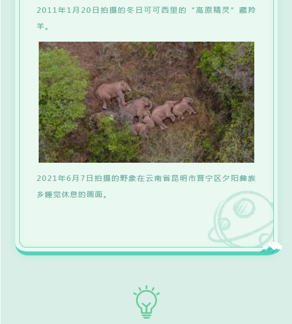 image.png?v=1754275592647