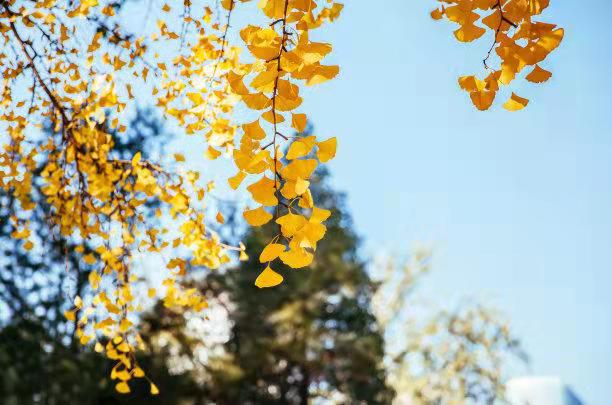 5a2dadfeb3a7e6e0a619c933bb9c8e9