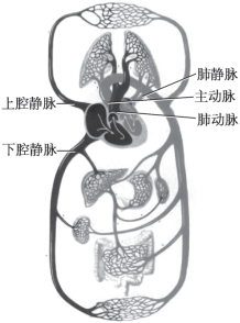 pagenumber_ebook=29,pagenumber_book=21