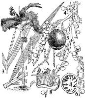 pagenumber_ebook=109,pagenumber_book=109