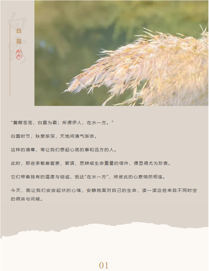 image.png?v=1762124756168