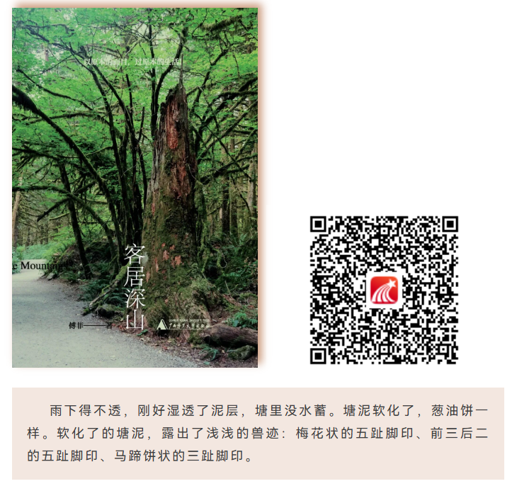 image.png?v=1786932490150