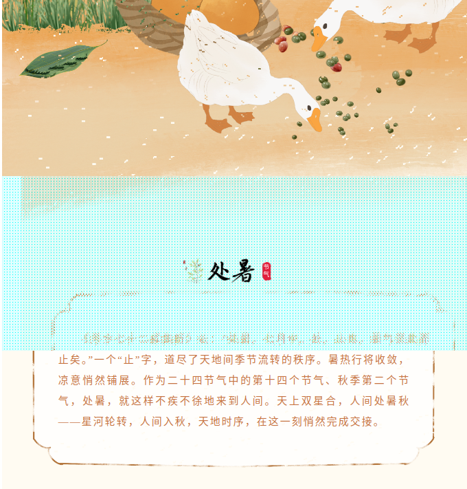 image.png?v=1787517468287