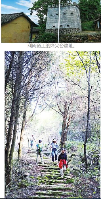 02 02.png?v=1763155759258