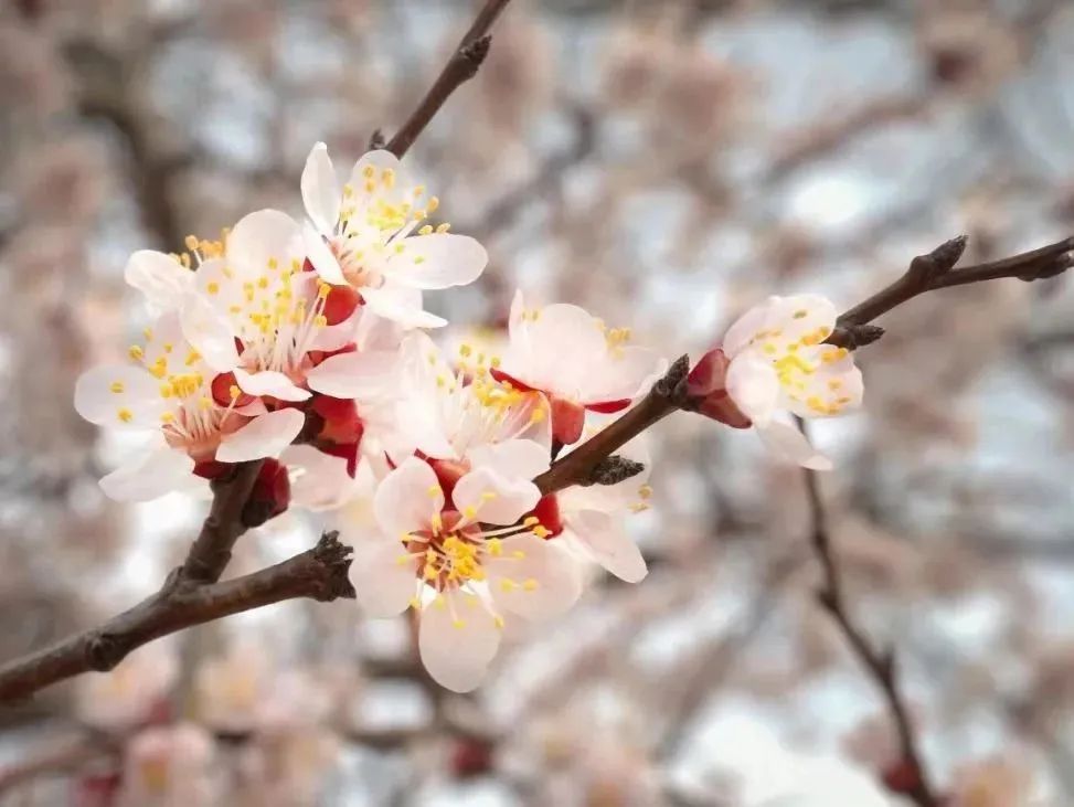 微信图片_20230421095943 微信图片_20230421095943.jpg