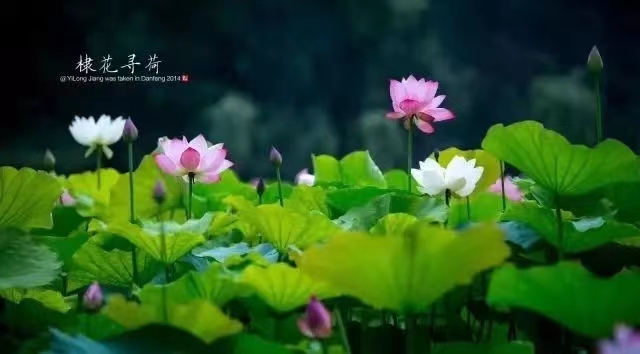 9fddbc03434ead205b0947e7b358715 9fddbc03434ead205b0947e7b358715.jpg?v=1763143627428