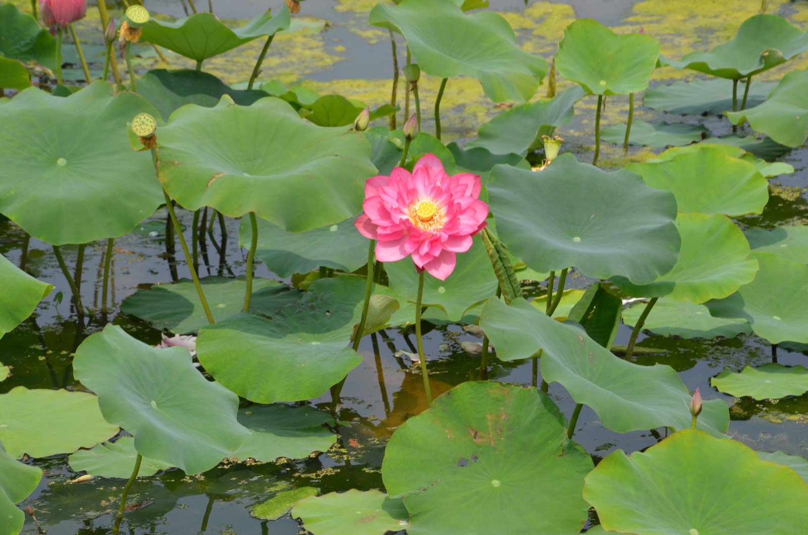 微信图片_20220907091247