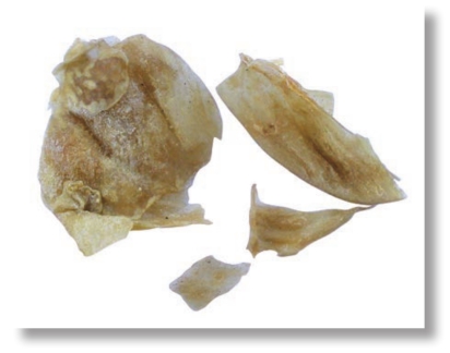 pagenumber_ebook=153,pagenumber_book=140