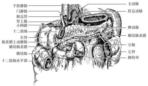 pagenumber_ebook=486,pagenumber_book=471