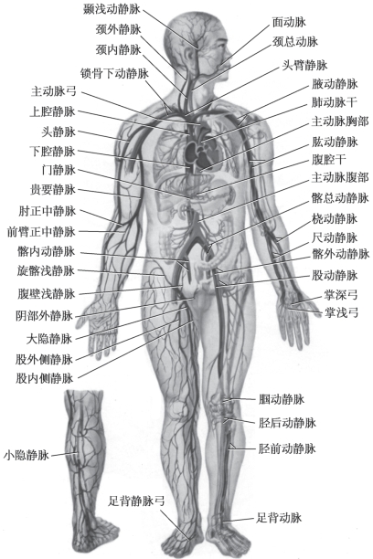 pagenumber_ebook=26,pagenumber_book=18