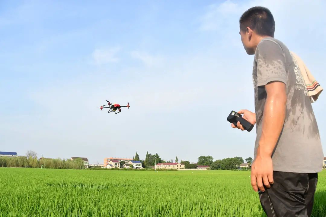 4 4.jpg?v=1765946306360