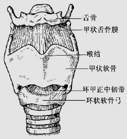 pagenumber_ebook=42,pagenumber_book=29