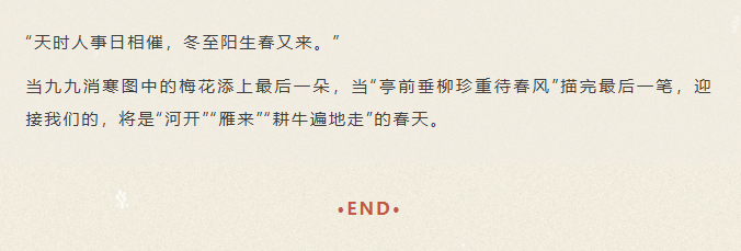 image.png?v=1770177741296