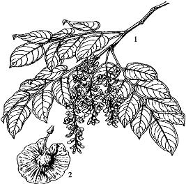 pagenumber_ebook=104,pagenumber_book=104