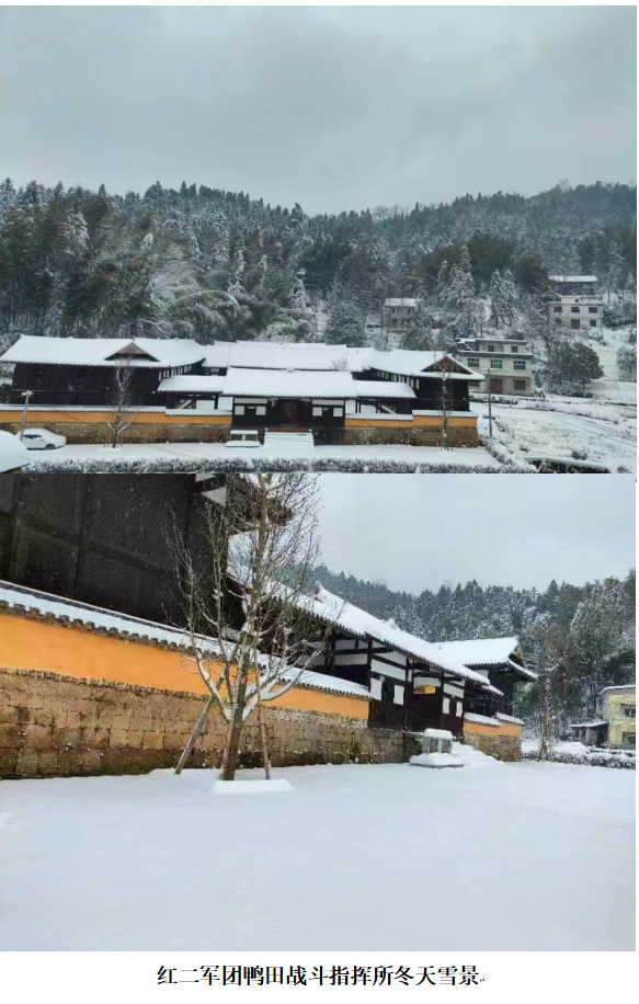 1732355453926 1732355453926.png