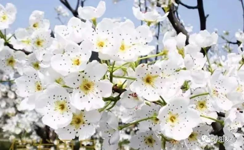 微信图片_20220614094620 微信图片_20220614094620.jpg