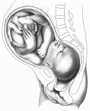 pagenumber_ebook=28,pagenumber_book=28