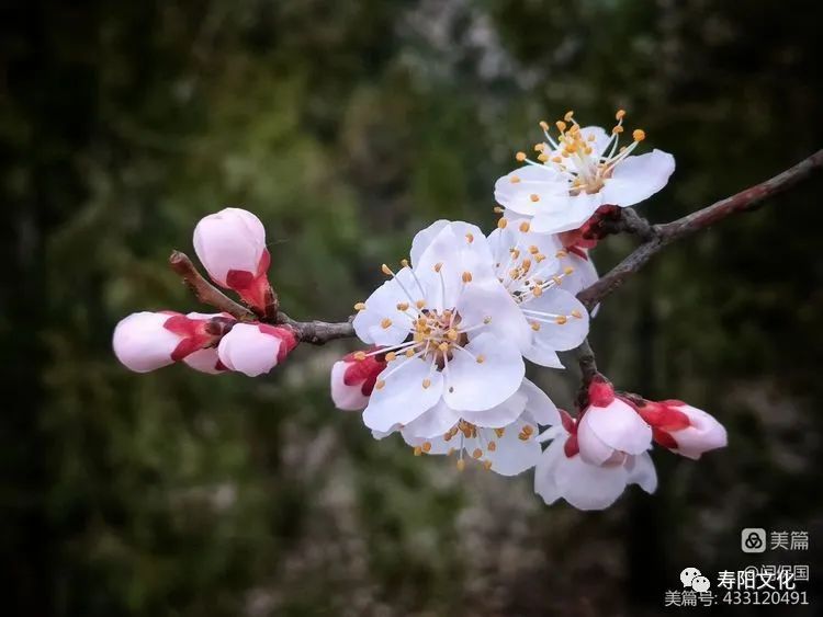 微信图片_20230414095938