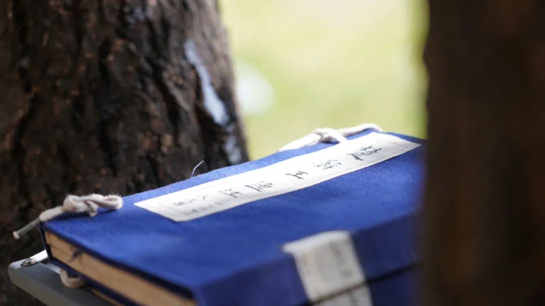 20f8e95175131a038a8c12f4fcd6c3da_640_wx_fmt=jpeg&wxfrom=5&wx_lazy=1&wx_co=1 20f8e95175131a038a8c12f4fcd6c3da_640_wx_fmt=jpeg&wxfrom=5&wx_lazy=1&wx_co=1