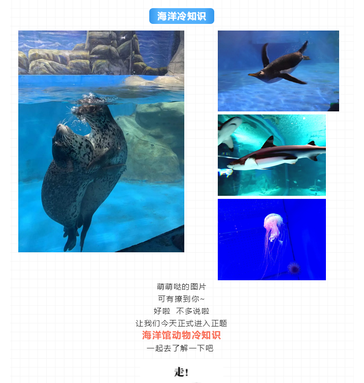 微信截图_20201208195911 微信截图_20201208195911.png