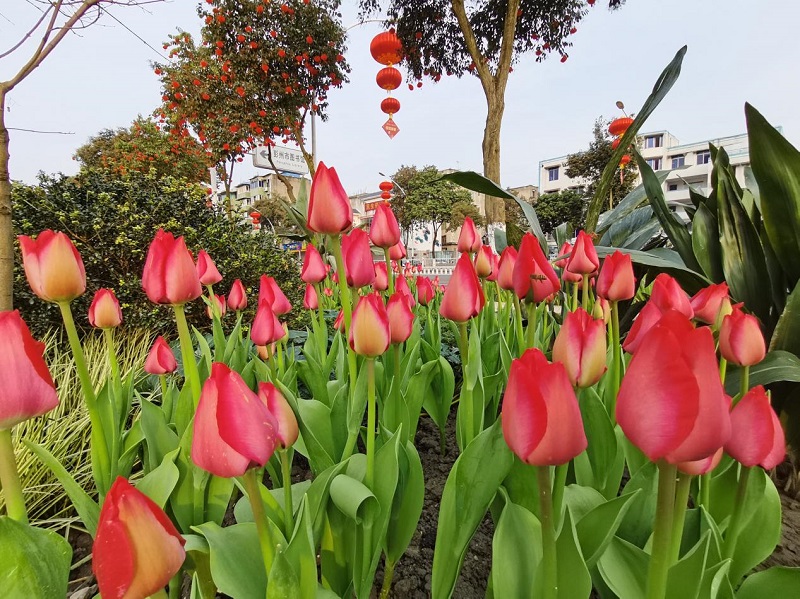 图片3 图片3.jpg?v=1765944454112