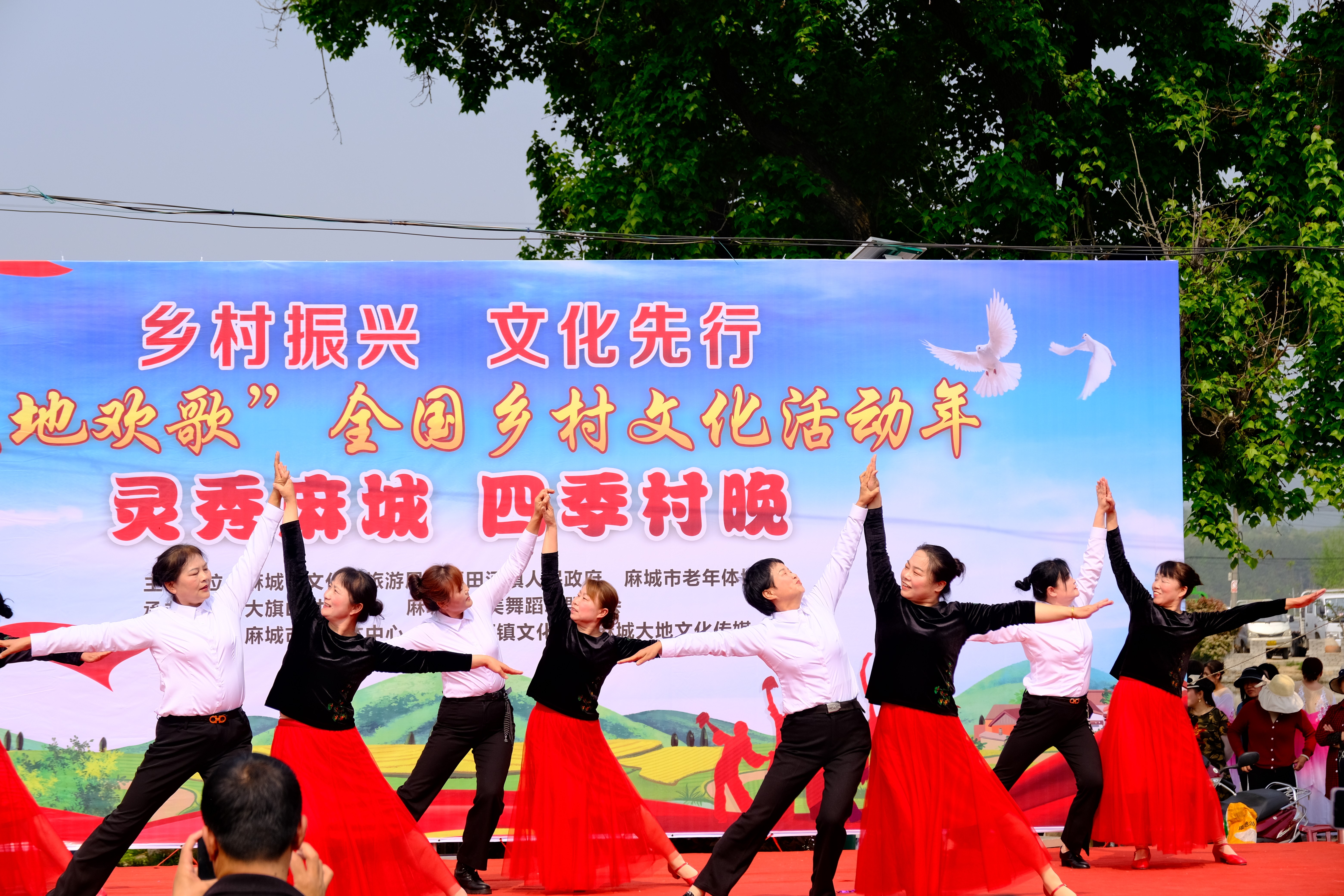 DSCF0083 DSCF0083.jpg